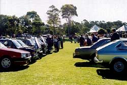 Rows of sedans and coupes