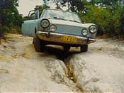 Bushbashing Fang